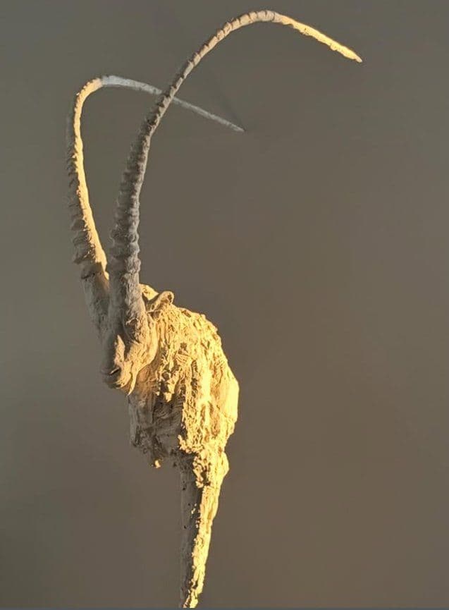 Œuvre 5