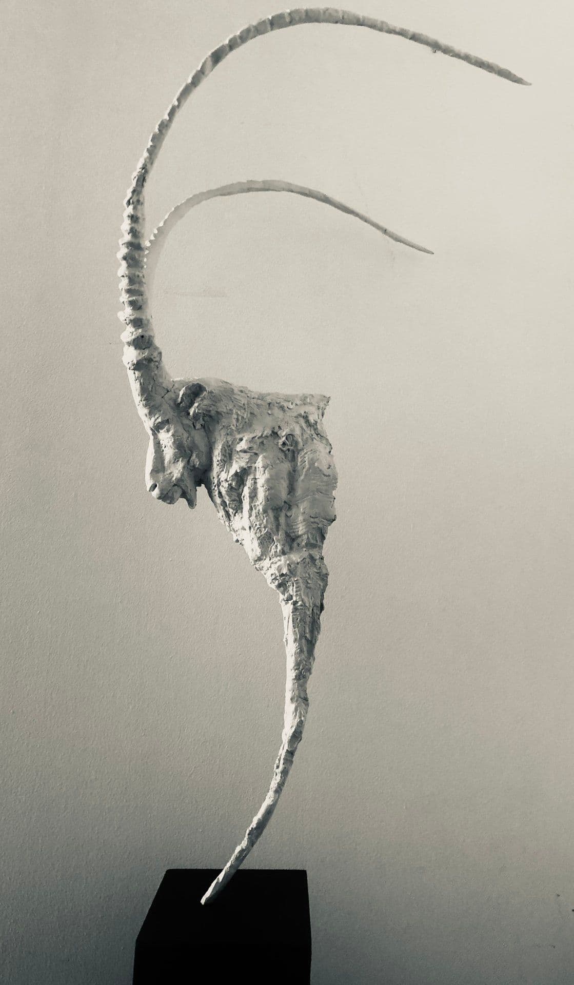 Œuvre 6